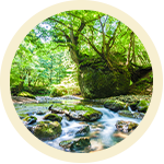 ねこばり岩画像