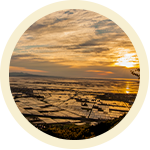 森山からの眺め画像